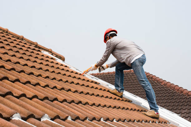 Best Green or Eco-Friendly Roofing Solutions  in North Oaks, MN